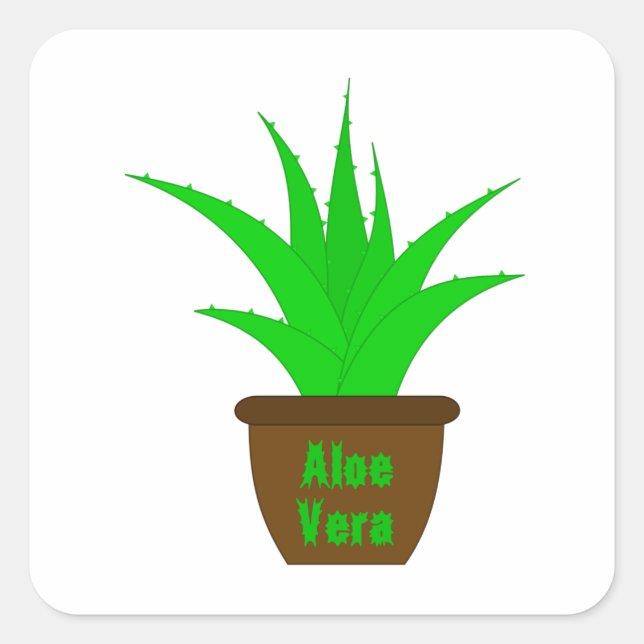 Adesivo Quadrado Aloe Vera com rótulo (Frente)