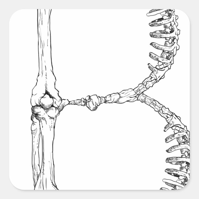 Adesivo Quadrado Alphabet Bone - Letra B (Frente)