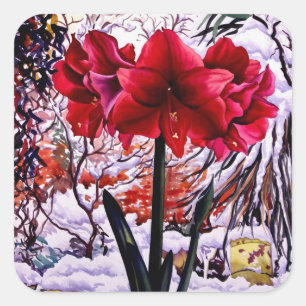 Adesivo Quadrado Amaryllis pela janela da neve