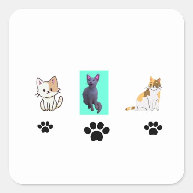 Adesivo Quadrado Amazing cats  (Frente)