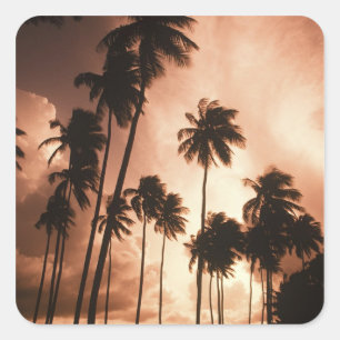 Adesivo Quadrado Ambergris Caye, Belize, América Central.2