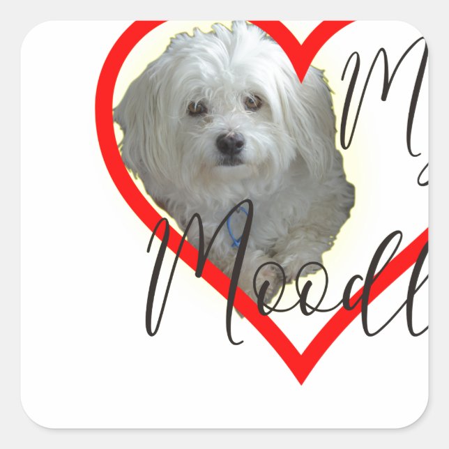 Adesivo Quadrado Ame o meu Moodle (Frente)