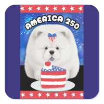 AMÉRICA 250 - CHOW CREAM