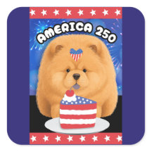 AMÉRICA 250 Chow Vermelho
