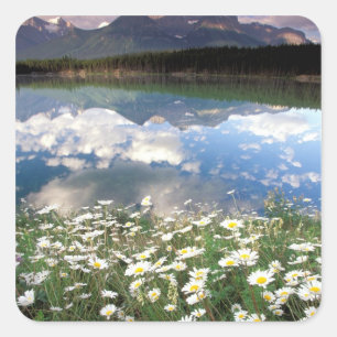 Adesivo Quadrado América do Norte, Canadá, Alberta, Parque Nacional