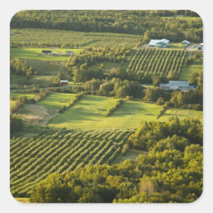 Adesivo Quadrado América do Norte, Canadá, Nova Escócia, Annapol