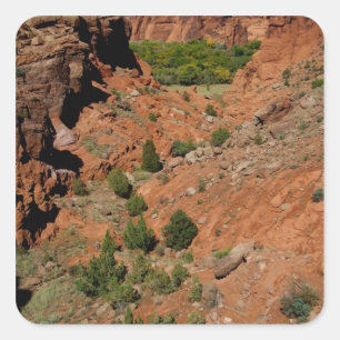 Adesivo Quadrado América do Norte, EUA, Arizona, Navajo índio