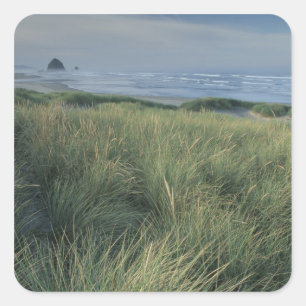 Adesivo Quadrado América do Norte, EUA, Oregon, Canon Beach,