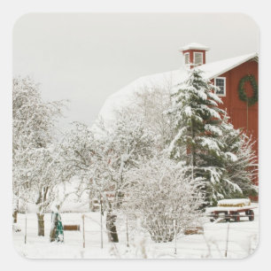 Adesivo Quadrado America do Norte, EUA, WA, ilha de Whidbey