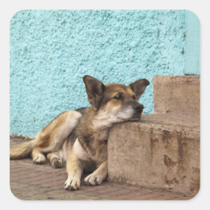 Adesivo Quadrado Ámérica do Sul, o Chile, Valparaiso. Alemão