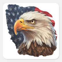 American Flag Bald Eagle