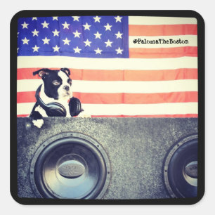 Adesivo Quadrado American Flag, Boston Terrier sticker