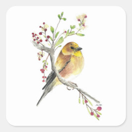 Adesivo Quadrado American Goldfinch Bird
