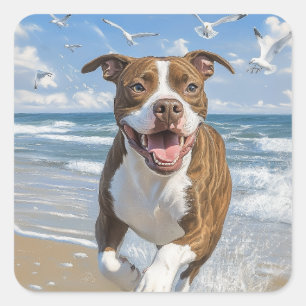 Adesivo Quadrado American Pit Bull Terrier na praia