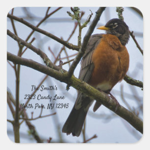 Adesivo Quadrado American Robin Change of Address Square Sticker