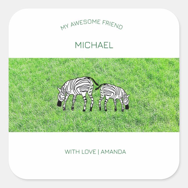 Adesivo Quadrado Amigo fantástico, Zebras bonitas e felizes (Frente)