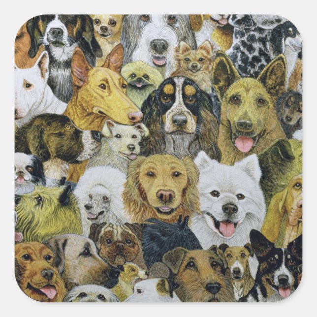 Adesivo Quadrado Amigos de Cães (Frente)