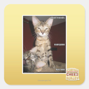 Adesivo Quadrado Amigos do idiota