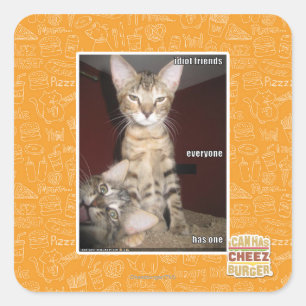 Adesivo Quadrado Amigos do idiota