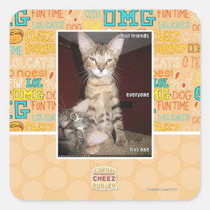 Adesivo Quadrado Amigos Idiotas