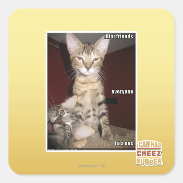Adesivo Quadrado Amigos Idiotas (Frente)