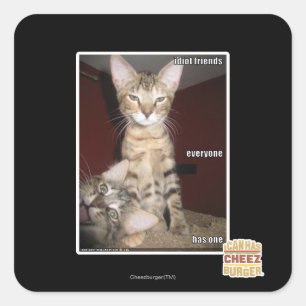 Adesivo Quadrado Amigos Idiotas