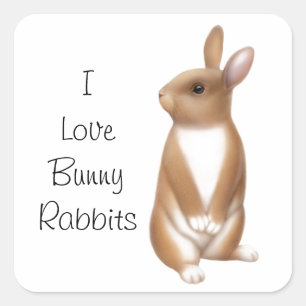 Adesivo Quadrado Amor do coelho de coelho customizável