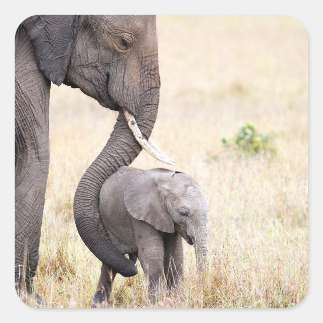 Adesivo Quadrado Amor maternal (Frente)