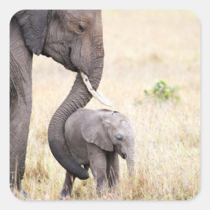 Adesivo Quadrado Amor maternal