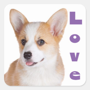 Adesivo Quadrado Amor pelo Pembroke Corgi Cachorrinho Amante de Cãe