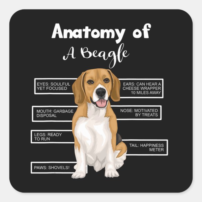 Adesivo Quadrado Anatomia De Cachorro Engraçado De Beagle Oferece P (Frente)
