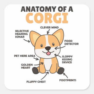 Adesivo Quadrado Anatomia De Corgi Cute Cães Engraçados