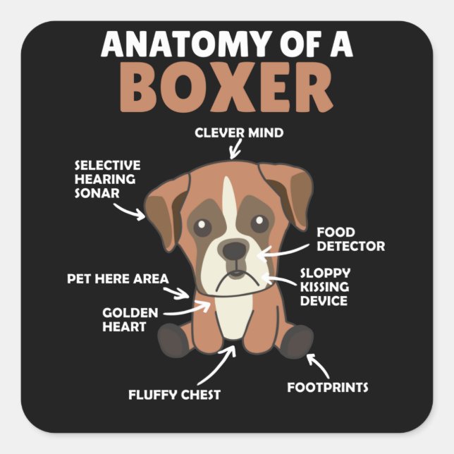 Adesivo Quadrado Anatomia De Um Cachorro Doce Boxer (Frente)