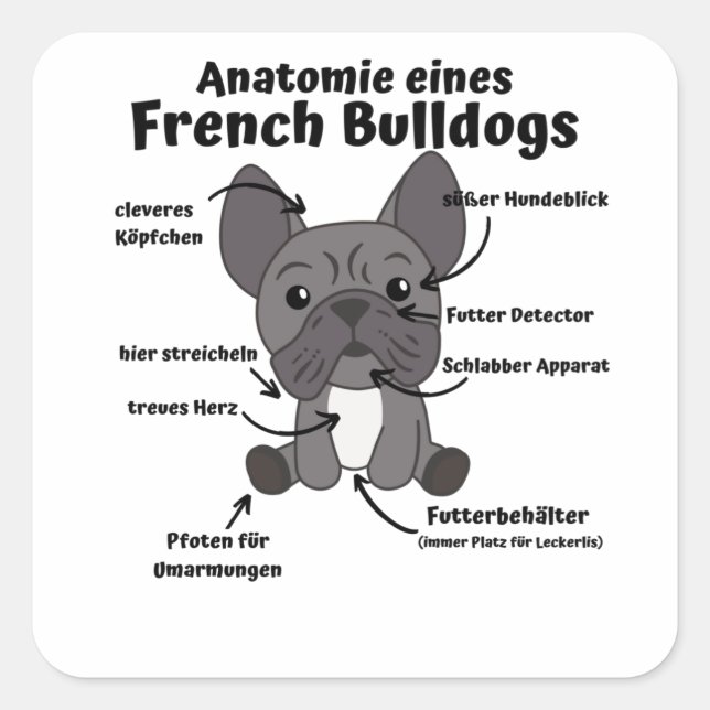 Adesivo Quadrado Anatomia De Um Cachorro Francês Cachorros Engraçad (Frente)