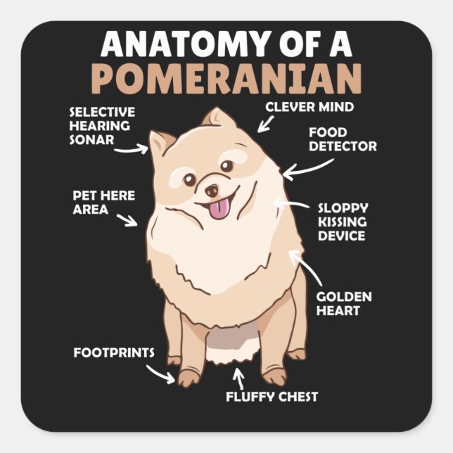 Adesivo Quadrado Anatomia De Um Cachorro Pomerano Cute Puppy (Frente)