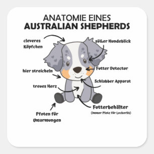 Adesivo Quadrado Anatomia De Um Cão Doce Pastor Australiano