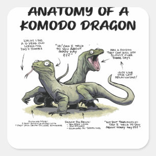 Adesivo Quadrado Anatomia de um dragão Komodo O dragão barbudo