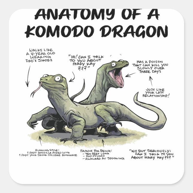 Adesivo Quadrado Anatomia de um dragão Komodo O dragão barbudo (Frente)