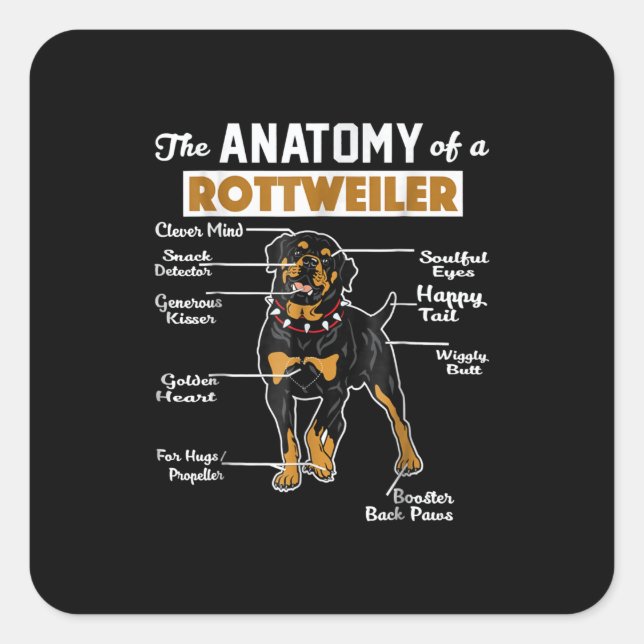 Adesivo Quadrado Anatomia de um Rottweiler (Frente)