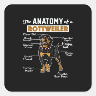 Adesivo Quadrado Anatomia de um Rottweiler