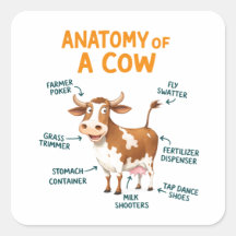 Anatomia de uma Vaca | Dia do Médico Divertido