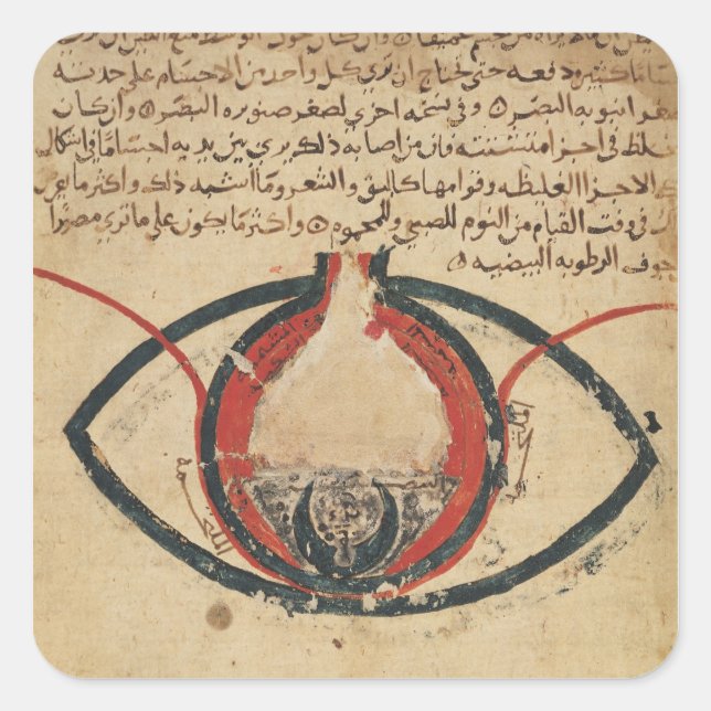 Adesivo Quadrado Anatomia do Olho, a partir de um livro sobre doenç (Frente)