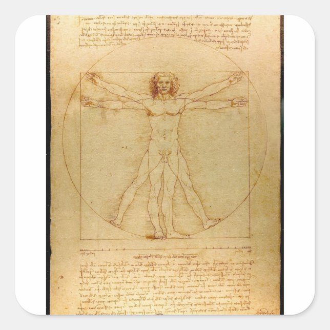 Adesivo Quadrado Anatomia humana, homem de Vitruvian por Leonardo (Frente)