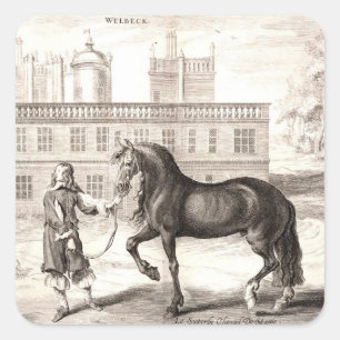 Adesivo Quadrado Andaluzia PRE Horse Vintage engrenando arte