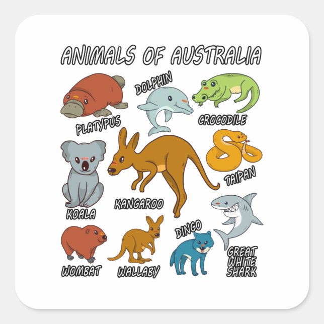 Adesivo Quadrado Animais Da Austrália (Frente)