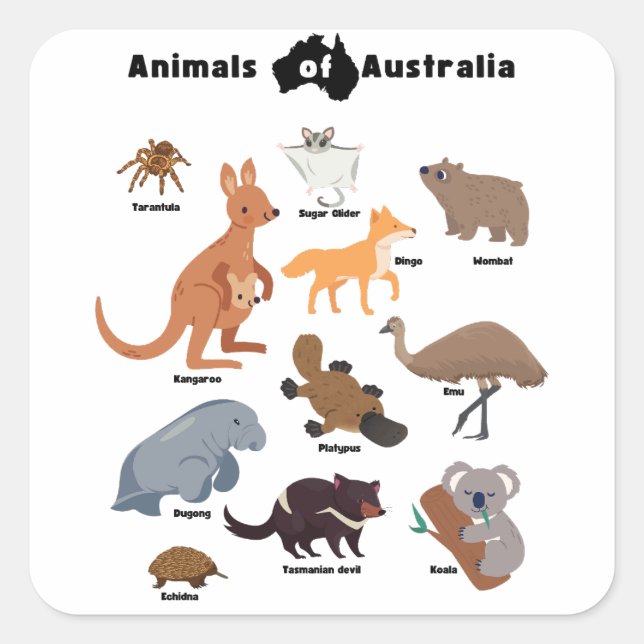 Adesivo Quadrado Animais da Vida Selvagem Aussie da Austrália (Frente)