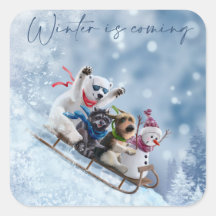 Animais descem a montanha em trenós