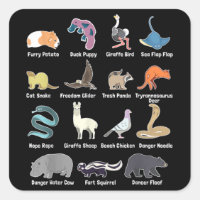 Animais Do Mundo - Raros Animais Exóticos Engraçad