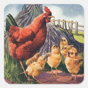 Adesivo Quadrado Animais do vintage, galinha com os pintinhos do