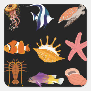 Adesivo Quadrado Animais marinhos: peixe, tartaruga, concha, água-